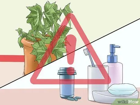 Заставьте котенка чувствовать себя как дома Шаг 1