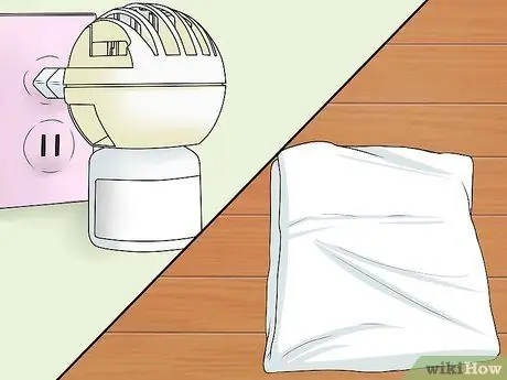 Заставьте котенка чувствовать себя как дома Шаг 2