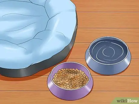 Заставьте котенка чувствовать себя как дома Шаг 6