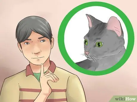 Усыновить котенка Шаг 1