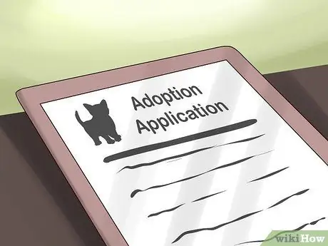 Усыновить котенка Шаг 14