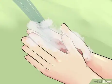 Принять котенка Шаг 15