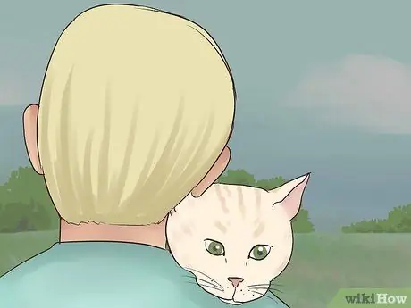 Принять котенка Шаг 19