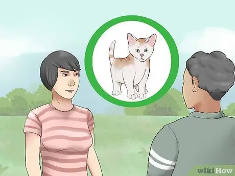 Принять котенка Шаг 2