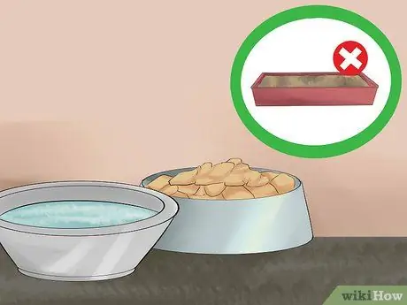 Принять котенка Шаг 5