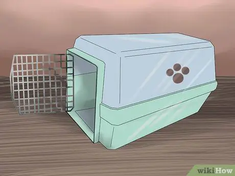 Принять котенка Шаг 7