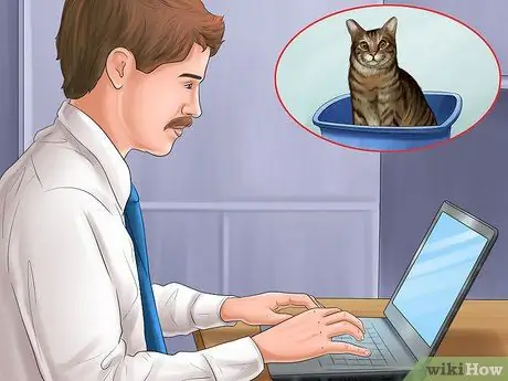 Выбор между кошкой и собакой Шаг 1