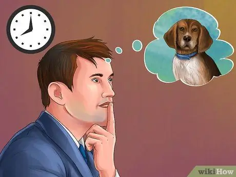 Выбор между кошкой и собакой Шаг 2