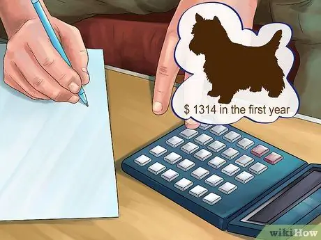 Выберите между кошкой и собакой Шаг 3