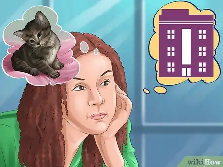 Выберите между кошкой и собакой Шаг 4