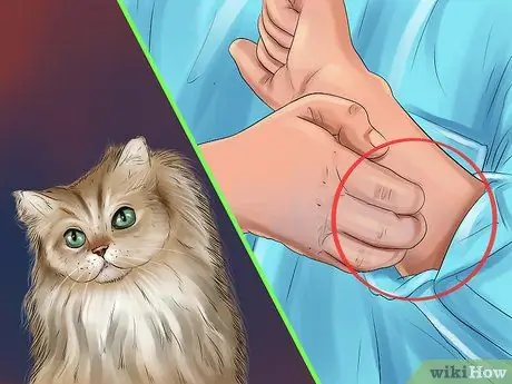 Выбор между кошкой и собакой Шаг 6