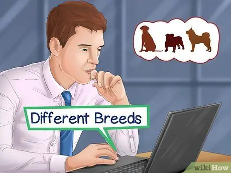 Выбор между кошкой и собакой Шаг 7