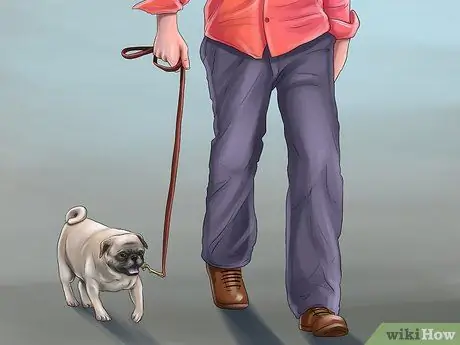 Выбор между кошкой и собакой Шаг 8