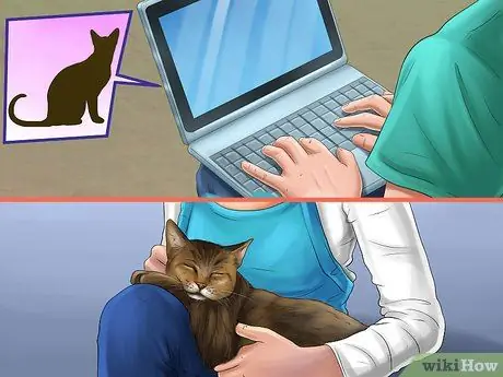 Выбор между кошкой и собакой Шаг 9