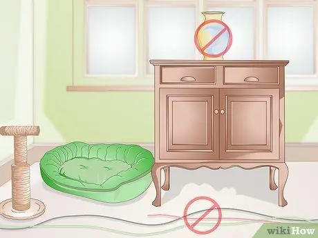 Подружитесь с новым котом Шаг 10