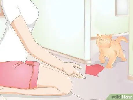 Подружитесь с новым котом Шаг 11