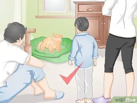 Подружитесь с новым котом Шаг 13