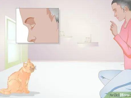 Подружитесь с новым котом Шаг 5