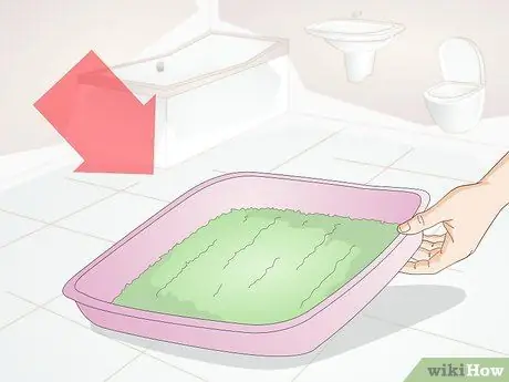 Подружитесь с новым котом Шаг 6