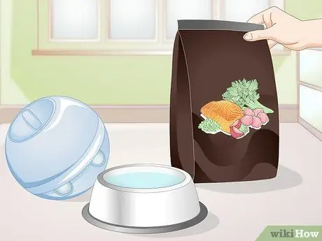 Подружитесь с новым котом Шаг 7