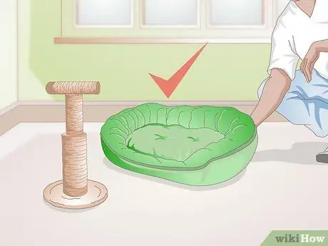 Подружитесь с новым котом Шаг 8