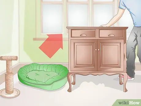 Подружитесь с новым котом Шаг 9