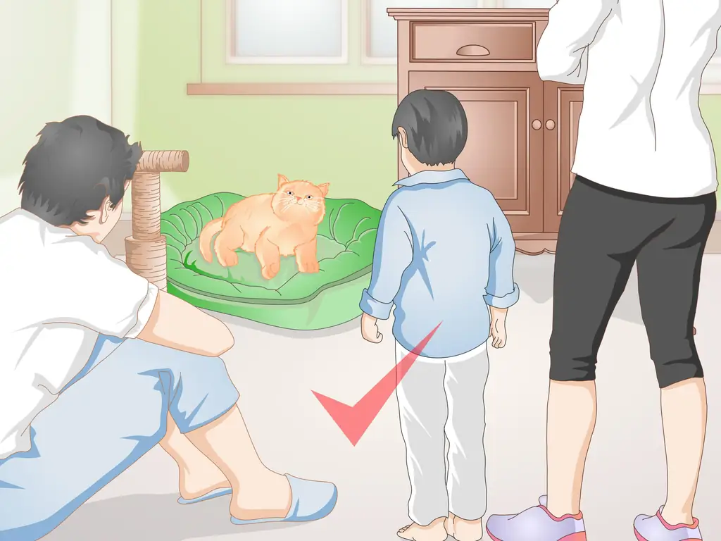 Как подружиться с новым котом: 13 шагов (с иллюстрациями)