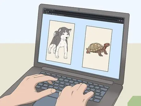 Убедите своего мужчину завести кошку Шаг 17