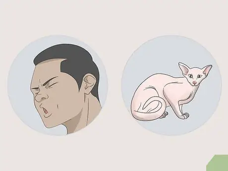 Убедите своего мужчину завести кошку Шаг 9
