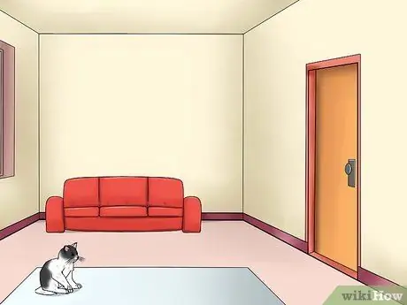 Подготовка к котятам Шаг 2