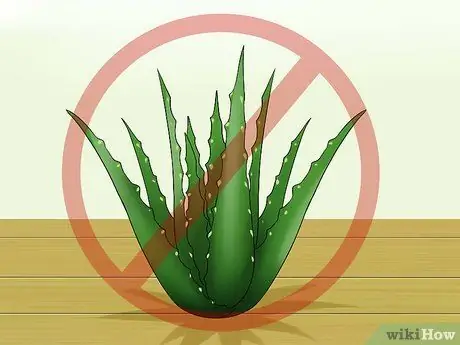 Подготовка к появлению котят Шаг 3