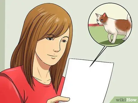 Подготовка к появлению котят Шаг 4