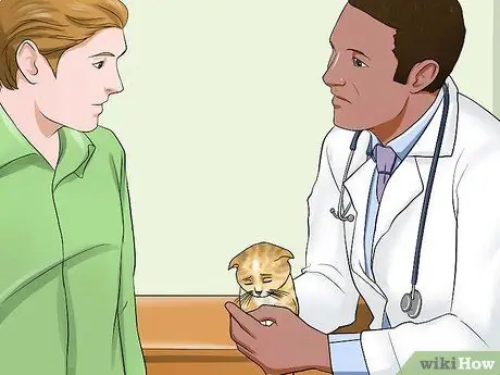 Подготовка к котятам Шаг 6