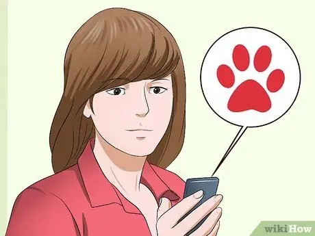 Подобрать агрессивного кота Шаг 11