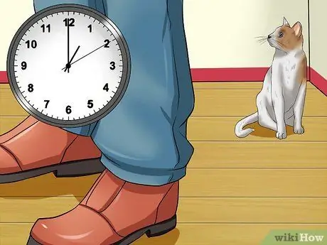 Подобрать агрессивного кота Шаг 3