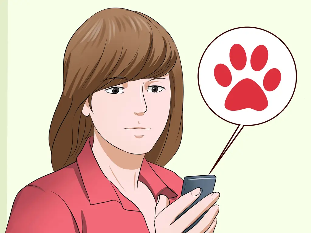 Как подобрать агрессивную кошку: 11 шагов (с картинками)