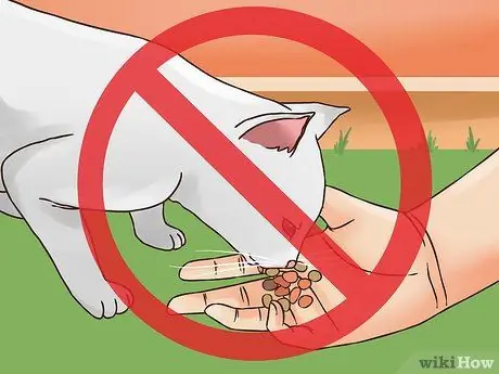 Помогите домашнему коту, которого мучает уличный кот, Шаг 10