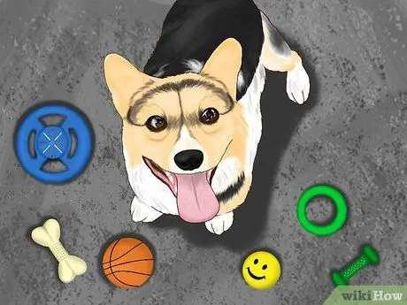 Не дайте вашей собаке выбежать с заднего двора Шаг 4