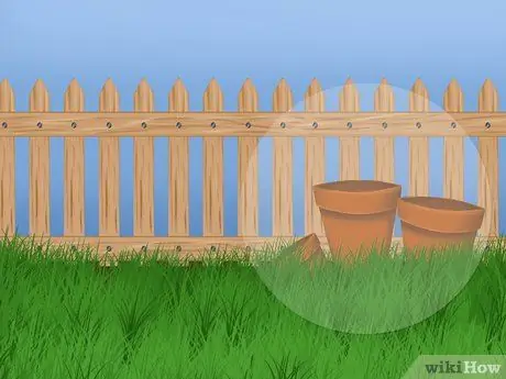 Не дайте вашей собаке выбежать с заднего двора Шаг 5