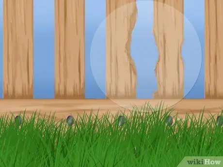 Не позволяйте вашей собаке выбегать с заднего двора Шаг 7