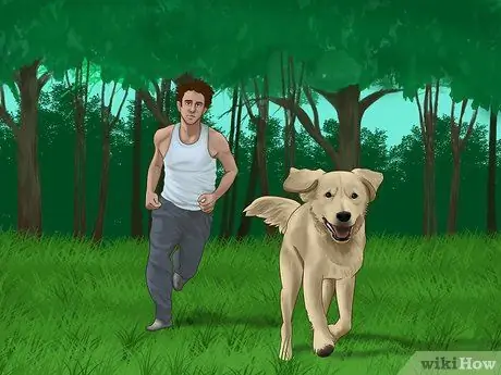 Не дайте вашей собаке выбежать с заднего двора Шаг 8