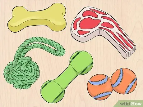 Займитесь здоровой игрой со своей собакой Шаг 2