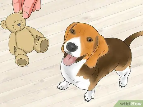 Займитесь здоровой игрой со своей собакой Шаг 3