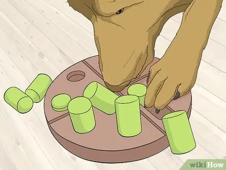 Примите участие в здоровой игре со своей собакой Шаг 5