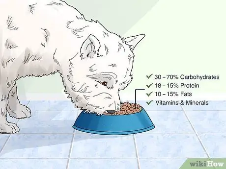 Выберите сухой корм для собак Шаг 1