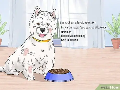 Выберите сухой корм для собак Шаг 3