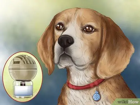 Используйте продукты с феромонами для собак Шаг 8