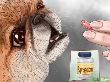 Используйте продукты с феромонами для собак Шаг 9