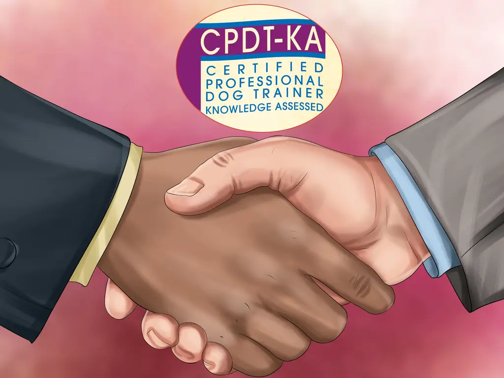 Как использовать продукты с феромонами для собак: 14 шагов (с изображениями)