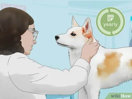 Выбор между сукой и кобелем Шаг 13